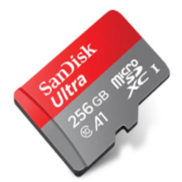 Monitor memory card